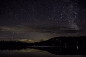 5c54ef_eead013ceecd478095ce6e74a5527901~mv2